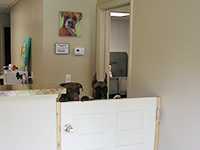 Dogs Greeting Customers